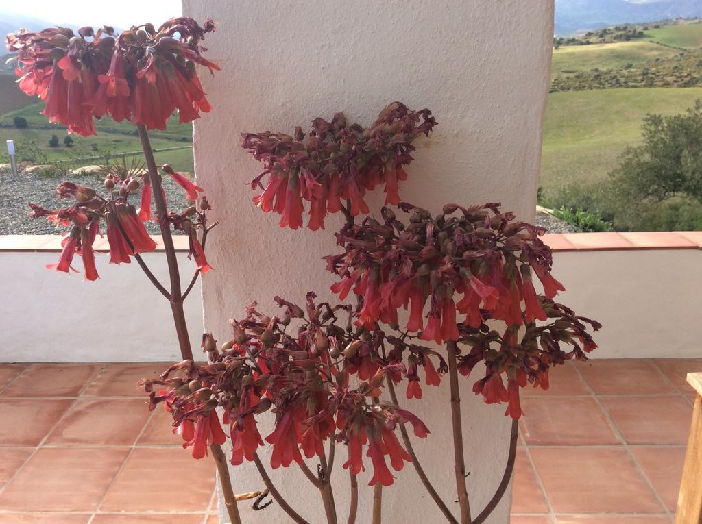Apartamento Casa al Cerro Álora Exterior foto